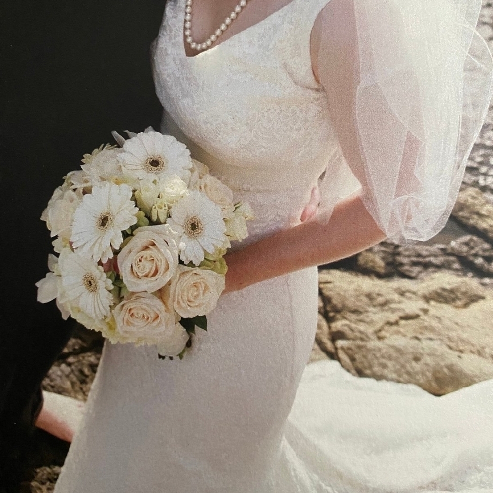 Pronovias Ivory Lace Bridal Gown SIze 12 NWOT